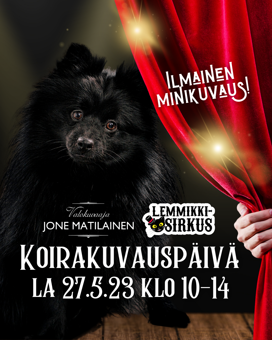 Koirakuvauspäivä