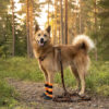 Finnero Power joustava talutin, 2 väriä - Image 2