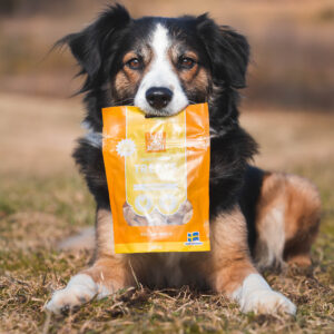 Mush Freeze Dried treats Kanansydän 50 g