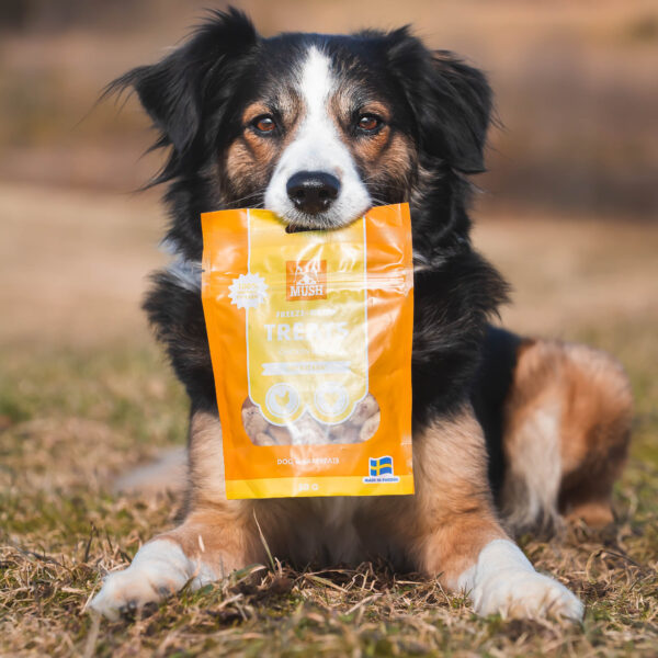 Mush Freeze Dried treats Kanansydän 50 g