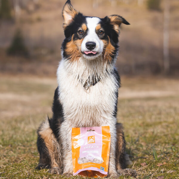 Mush Freeze Dried treats Sika 55 g - Image 2